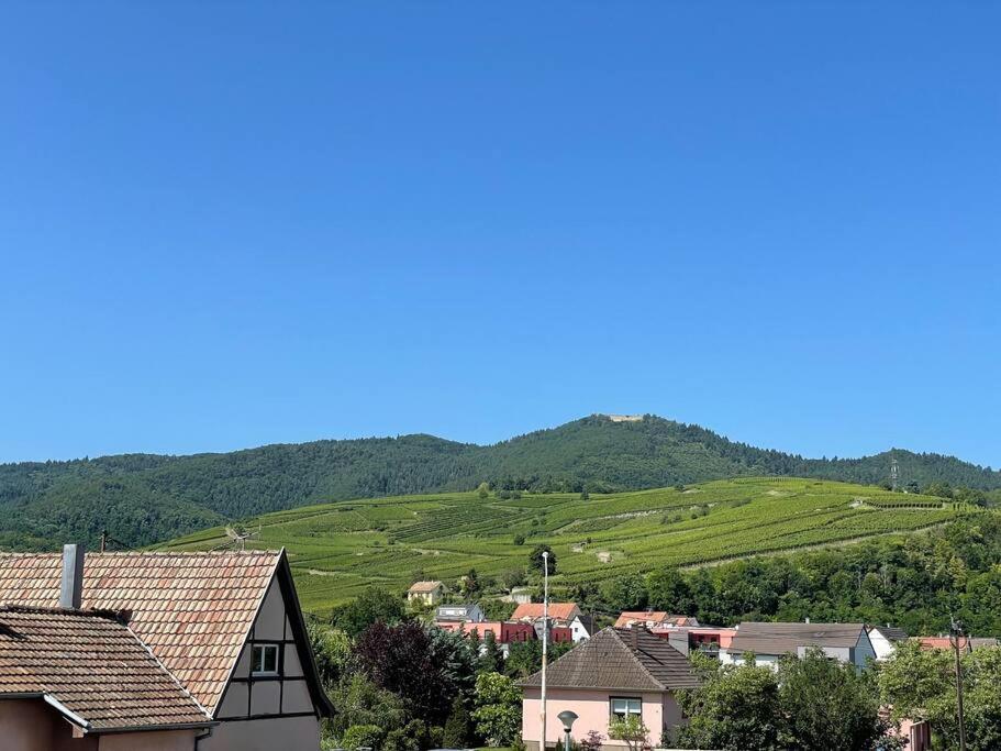 빈첸하임 A2 Pas De Colmar Terrasse,Parking 아파트 외부 사진