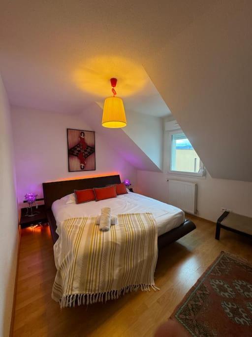 빈첸하임 A2 Pas De Colmar Terrasse,Parking 아파트 외부 사진